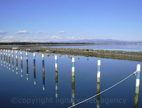 Der Fischer Hafen von Grado foto