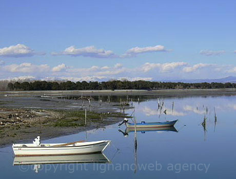 Fischerboote in der Lagune von Grado foto