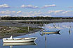 Fischerboote In Der Lagune Von Grado