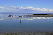 Grado Lagoon View