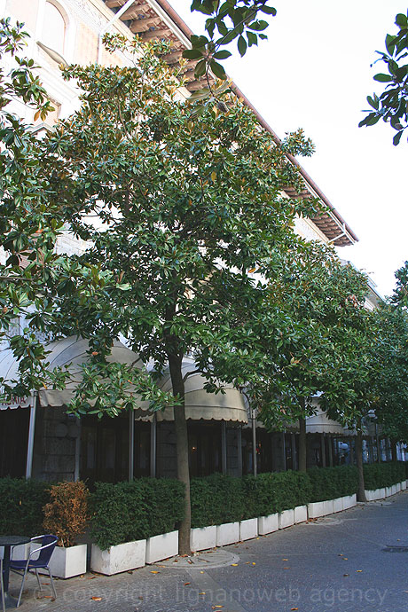 Hotel Adria Grado foto