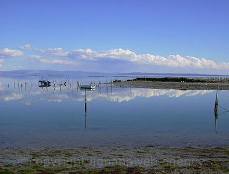 Vedere laguna din Grado foto